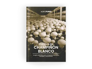 uk9vsvx0ppjtdkn2x18z